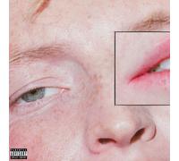 The Greeting Committee – Dandelion Yellow – Vinilo – Importación USA