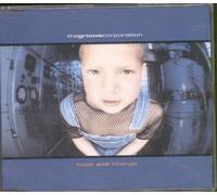 The Groove Corporation - Twist And Change