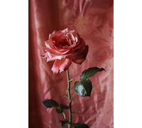 The Grow Through Journal: A Safe Space for Healing, Reflection & Becoming Your Best Self