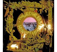 Growlers - Hung At Heart [Vinilo]