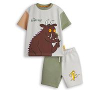 The Gruffalo Conjunto de camiseta y pantalones cortos para niño | Camiseta gráfica de manga corta con bloques de color y pantalones a juego para niños | Traje de ropa de libro de Julia Donaldson