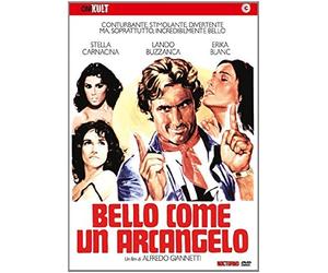 The Handsome Devil ( Bello come un arcangelo ) [ Origen Italiano, Ningun Idioma Espanol ]