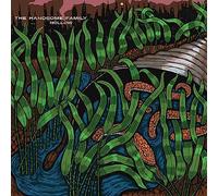 The handsome family - Hollow [Vinilo]