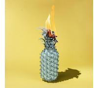 The Happy Fits Under The Shade of Green Explicit Lyrics (CD) (Importación USA)