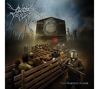 The Orchard – The Harvest Floor