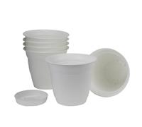 The HC Companies Macetas, Color Blanco, 8 Pulgadas (Paquete de 6)