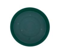 The HC Companies Platillo de plástico para Maceta, Color Verde perenne, 12 Pulgadas