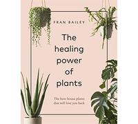 The Healing Power of Plants: The Hero House Plants that Love You Back