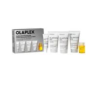 The Healthy Hair Discovery Set