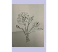 The Heart She Chose: How Unexspected Bonds Become Eternal Roots (Daughters of the Heart)