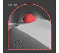 The Heavy Minds - Second Mind [Vinilo]