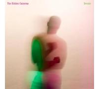 THE HIDDEN CAMERAS - BRONTO [Vinilo]