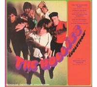 The Hollies - Evolution