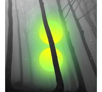The Holy Family - Go Zero [VINYL] [Vinilo]