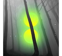 The Holy Family - Go Zero [VINYL] [Vinilo]