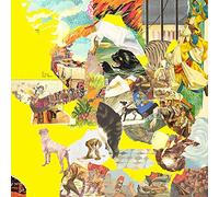 The Homesick - The Big Exercise - Vinyle Jaune [Vinilo]