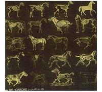 The Horrors - She is The New Thing [Import]