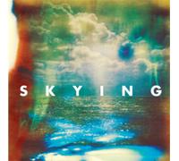 The Horrors Skying (Vinyl) 12" Album
