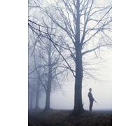 The Houdini Chronicles: The Blood That Walked in Fog Volume II (The Houdini Chronicles: Master of Escape Volume I)