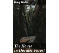 The House In Dormer Forest (ebook)