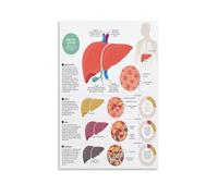 The Human Body Poster, Educational Organ System Chart Canvas Print for Health Classroom, Home Study Area, or Library Decor(Unframed,16x24inch(40x60cm))