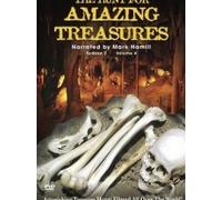 The Hunt For Amazing Treasures - Volume 4