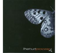 The Hurt Process - The Last Goodbye