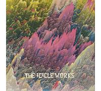 The Icicle Works - Birds Fly
