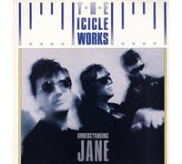 The Icicle Works - Understanding Jane