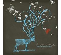 The Icy Shores - What You Get and How You Get It