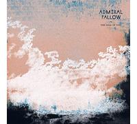 The Idea Of You [Vinilo]
