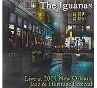 The Iguanas - Live at Jazz Fest 2014