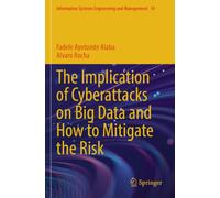 The Implication of Cyberattacks on Big Data and How to Mitigate the Risk (Information Systems Engineering and Management)