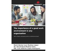 The importance of a good work environment in any organization: Work climate, synonymous with a cordial environment