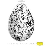 The Importance of Birds -Vinilo