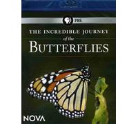 The Incredible Journey of the Butterflies [USA] [Blu-ray]