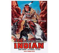 The Indian - La Prova Del Coraggio [Italia] [DVD]