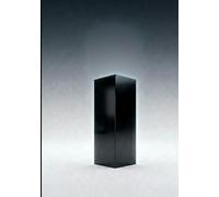 The Infinite Corridor: A Meditation on the Geometry of the Universe (The Resonance Series.)