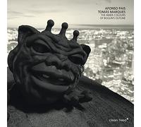 Afonso Pais - The Inner Colours of Boglin’s Outline