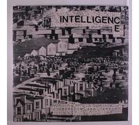 The Intelligence - Boredom And Terror / LetS Toil [Vinilo]