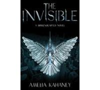 The Invisible (ebook)