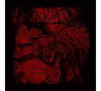The Invocation Of Demise