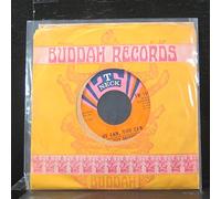 The Isley Brothers - IF HE CAN YOU CAN 7 INCH (7" VINYL 45) US T NECK