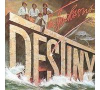 The Jacksons - Destiny