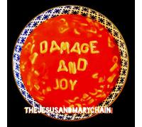 The Jesus and Mary Chain Damage and Joy (CD) Album (Importación USA)