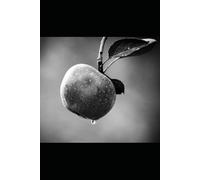 The Journey - Book 2: Erotic short stories (The Journey - Erotic Short Stories)