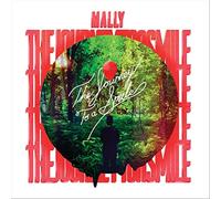 The Journey To A Smile