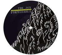 The Joy Formidable - I Don't Want to See You Like This [Vinilo]