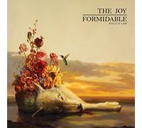 The Joy Formidable - Wolf's Law [Vinilo]