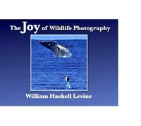 The Joy of Wildlife Photography